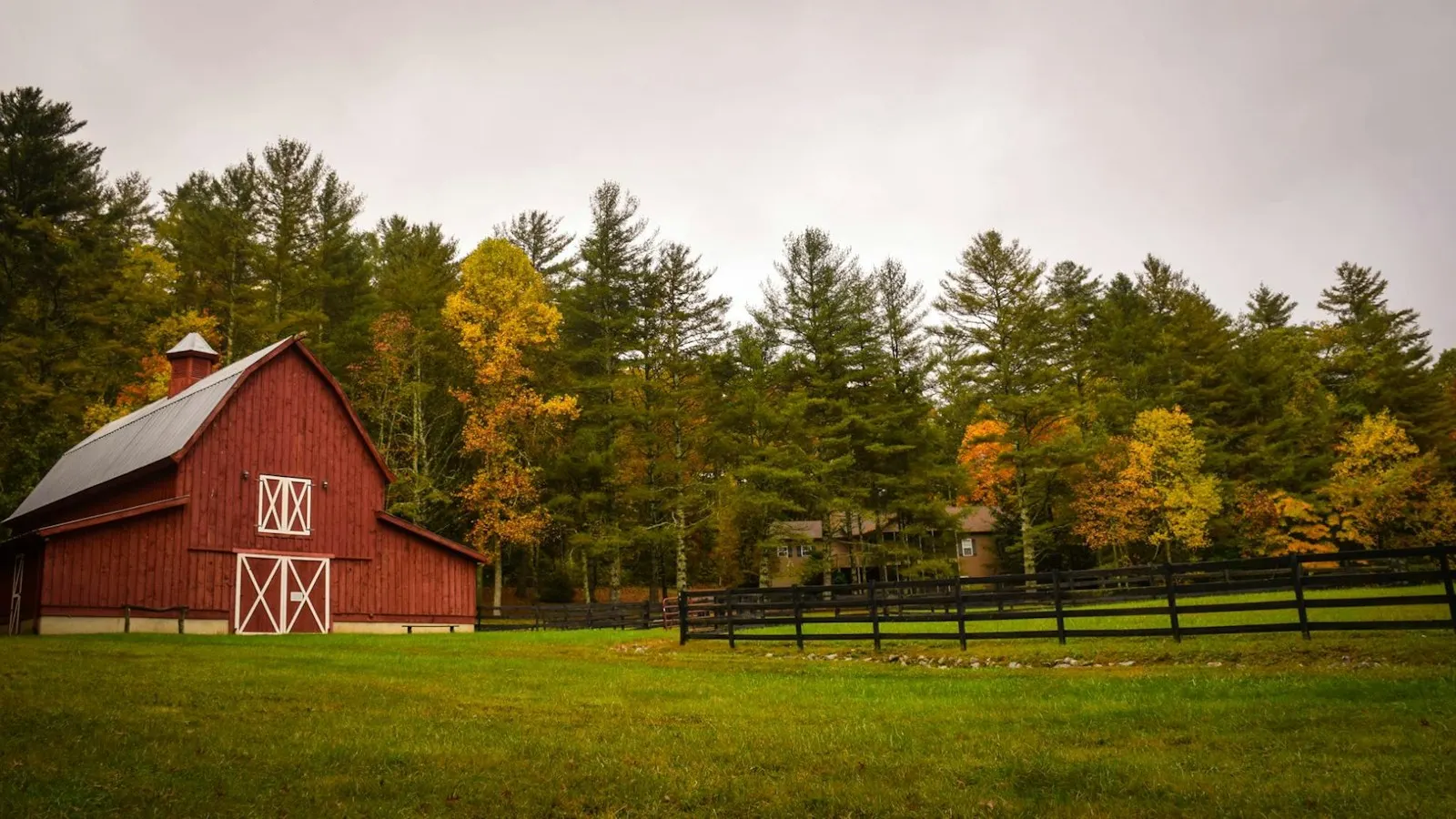 Red barn and fall tree line in Plymouth County